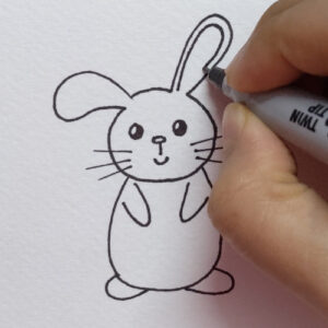 How to Draw a Cute Bunny Rabbit