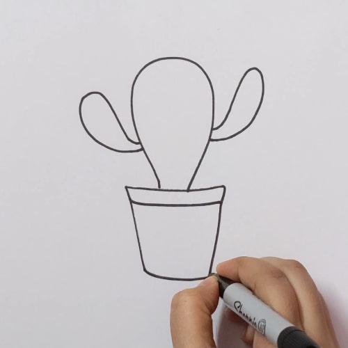 Placing our cactus in a pot