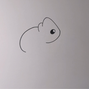 How to Draw a Chameleon