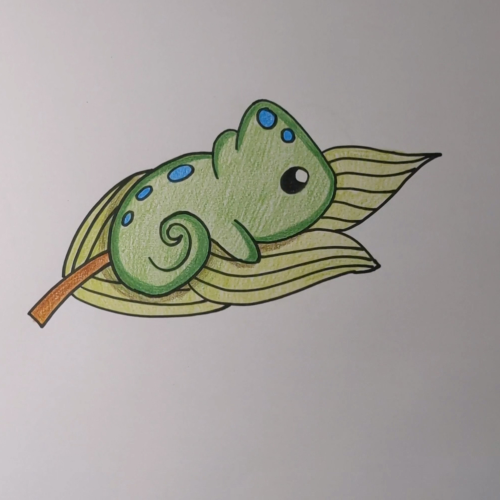 How to Draw a Chameleon