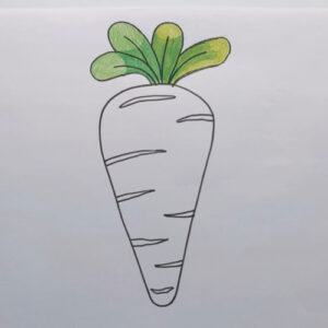 Carrot Drawing for Kids