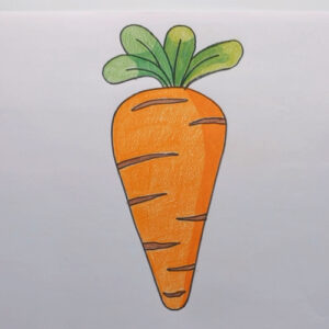 Carrot Drawing for Kids