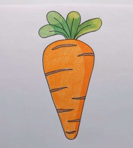 Carrot Drawing for Kids