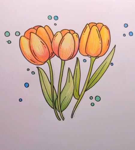 How to Draw a Tulip