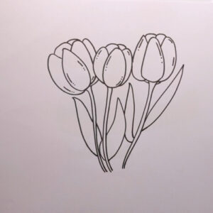 How to Draw a Tulip