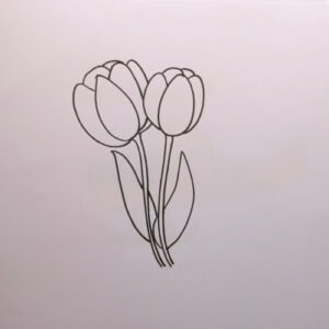 How to Draw a Tulip