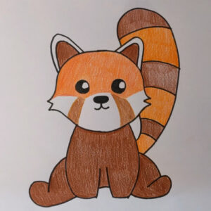 How to draw a red panda