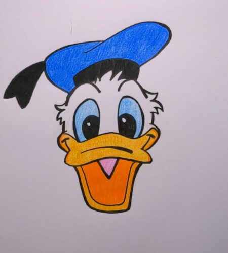 how to draw Donald Duck