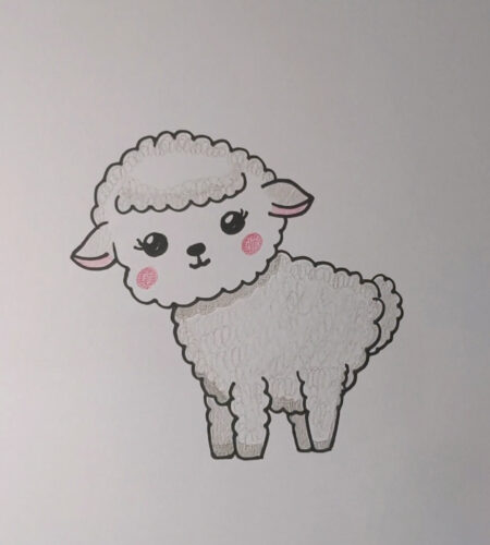 how to draw a sheep