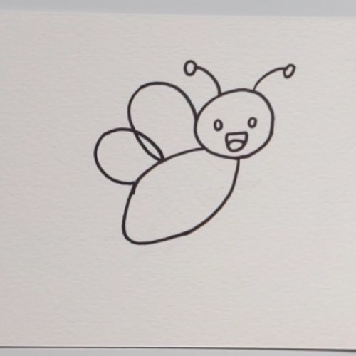 Bee drawing wings and body shape