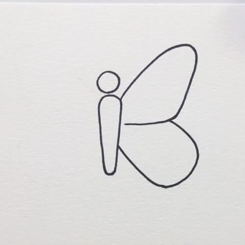  Butterfly drawing with one side wing outline