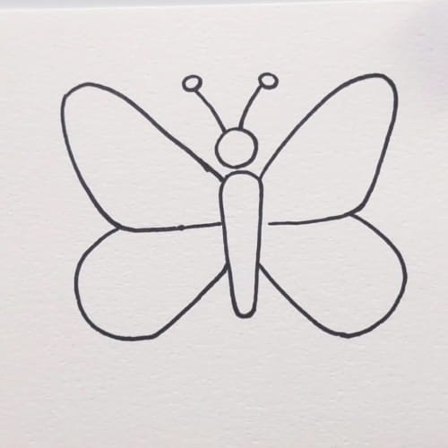 Butterfly drawing wing shapes on both sides