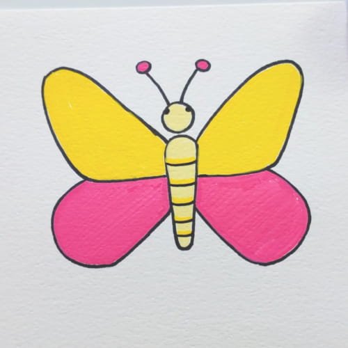 Butterfly drawing body stripes and color details