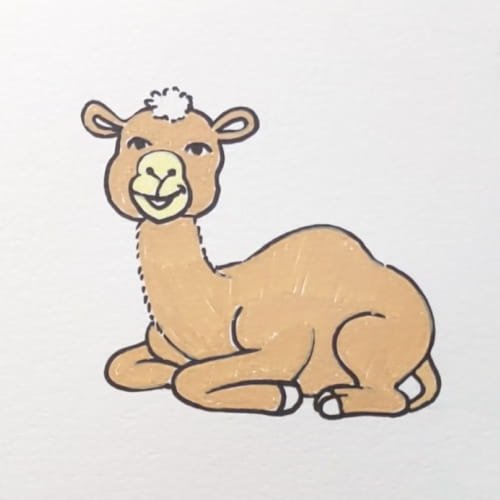 Camel drawing face outline for kids
