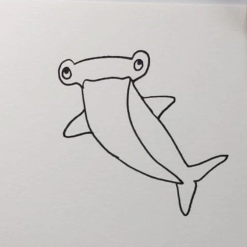 Hammerhead shark drawing step 5 – hammerhead shark drawing with fins and full outline completed