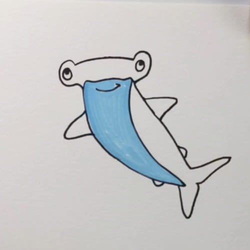 Hammerhead shark drawing step 6 – hammerhead shark drawing with light blue belly coloring
