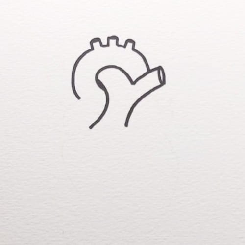 Heart Drawing for Kids with the main artery outline