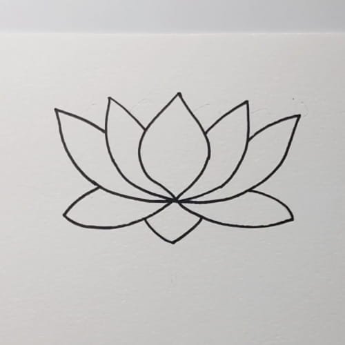Lotus drawing with bottom petal layer