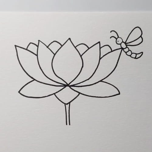 Lotus drawing with back petals stem and dragonfly outline