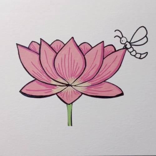 Lotus drawing with petal details and shading 01
