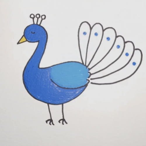 Finished coloring for an easy Peacock Drawing for Kids.