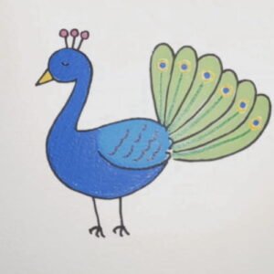 Cute finished Peacock Drawing for Kids with colorful feathers.