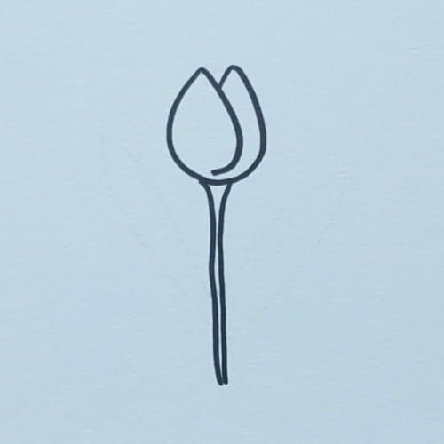 Tulip bud with a long straight stem in a tulip drawing for kids