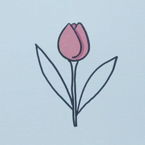 Tulip drawing for kids with the flower colored pink and leaves left uncolored.
